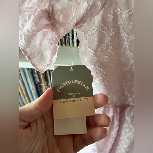 2/$20 Pastourelle girls dress size 14 - Picture 4 of 7